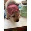 Breathable Cat Muzzle Anti Biting Chewing Pet Grooming Supplies Kitten Bathing Bag Bathing Mask Colorful Cat Mouth Guard Muzzle - Image 3