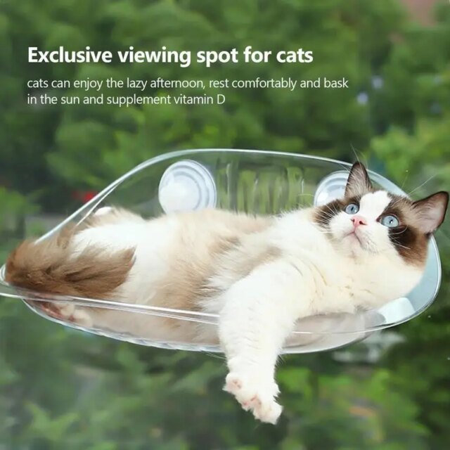 Cat Furniture Wall Shelf Mount Transparent Hammock Wall Cat Bed Kitten Furniture for Sleeping with Suction Cup Cat Sleeping Bed - Image 5