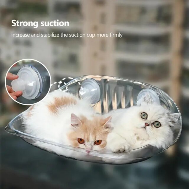 Cat Furniture Wall Shelf Mount Transparent Hammock Wall Cat Bed Kitten Furniture for Sleeping with Suction Cup Cat Sleeping Bed - Image 3