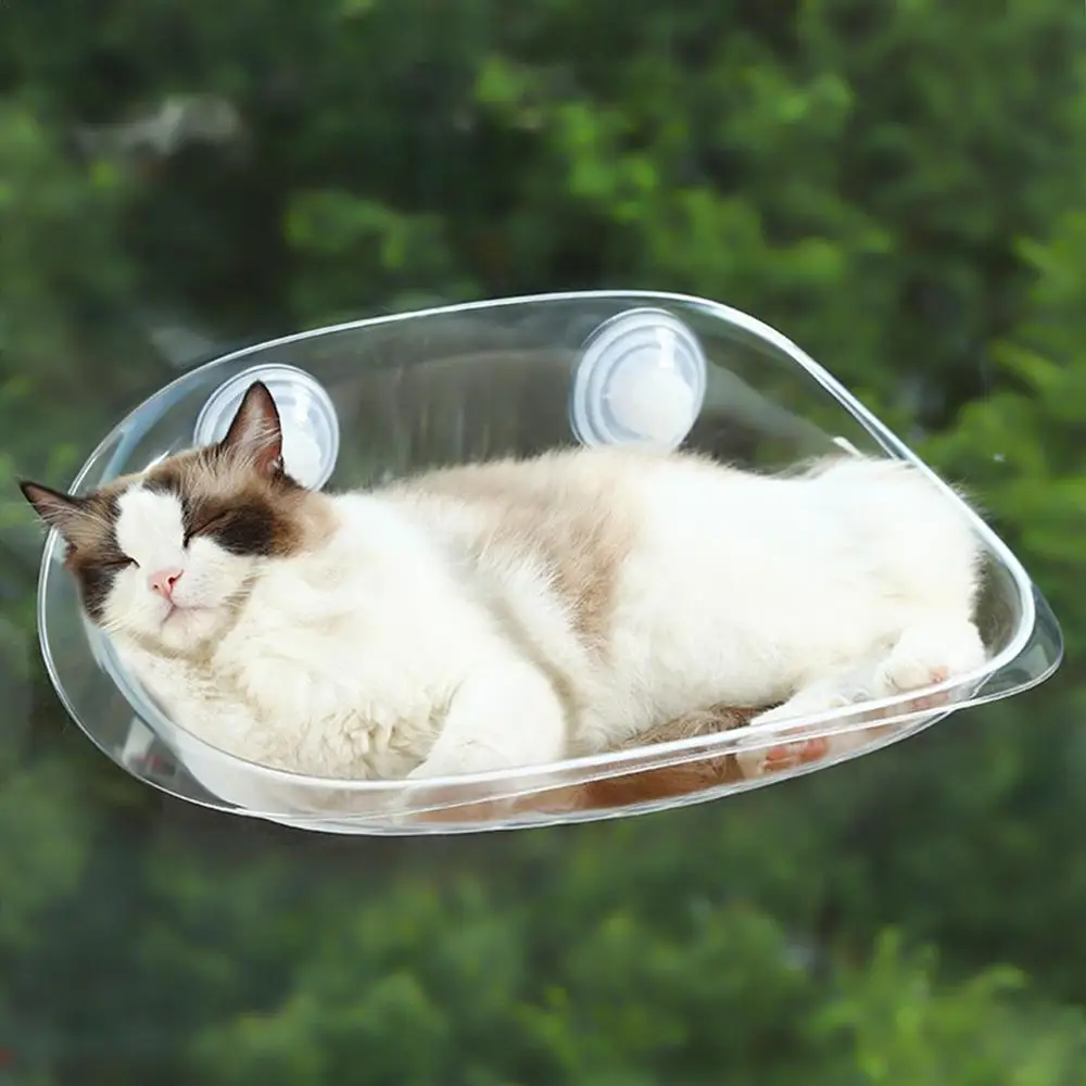 Cat Furniture Wall Shelf Mount Transparent Hammock Wall Cat Bed Kitten Furniture for Sleeping with Suction Cup Cat Sleeping Bed