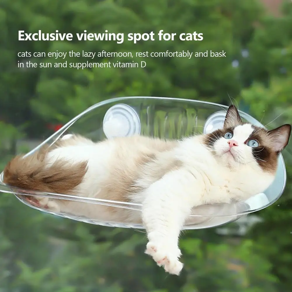 Cat Furniture Wall Shelf Mount Transparent Hammock Wall Cat Bed Kitten Furniture for Sleeping with Suction Cup Cat Sleeping Bed