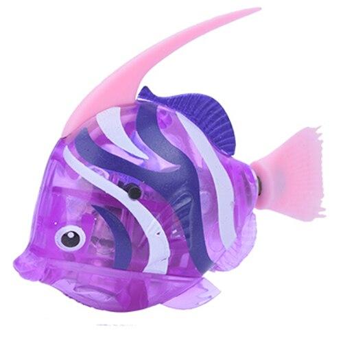 Angelfish Purple