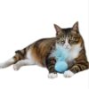Cat's Teaser Ball with Sound Effects - Image 3