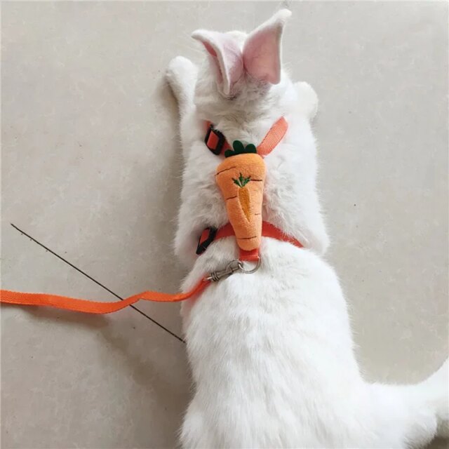 Hamster Rabbit Small Pets Chest Strap Outdoor Traction Rope Adjustable Harness Leash Vest  Rabbit Hedgehog Guinea Pig - Image 5