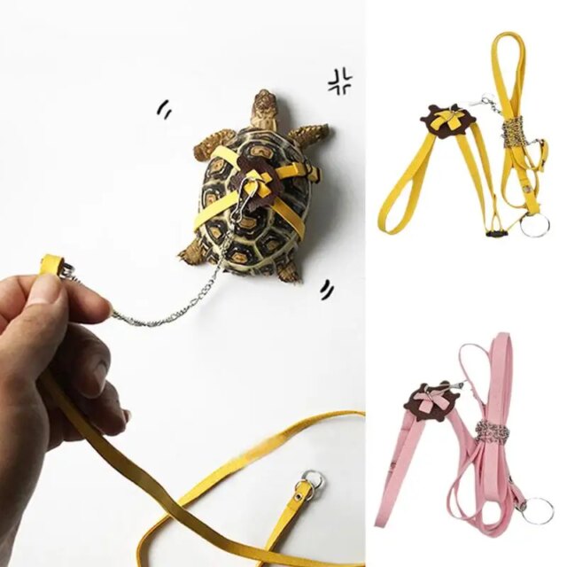 Turtle Harness Leashes Outdoor Harness Leashes PU Leather Control Rope Soft Chest Collar Multi-Color Walking Lead Harness Strap - Image 2