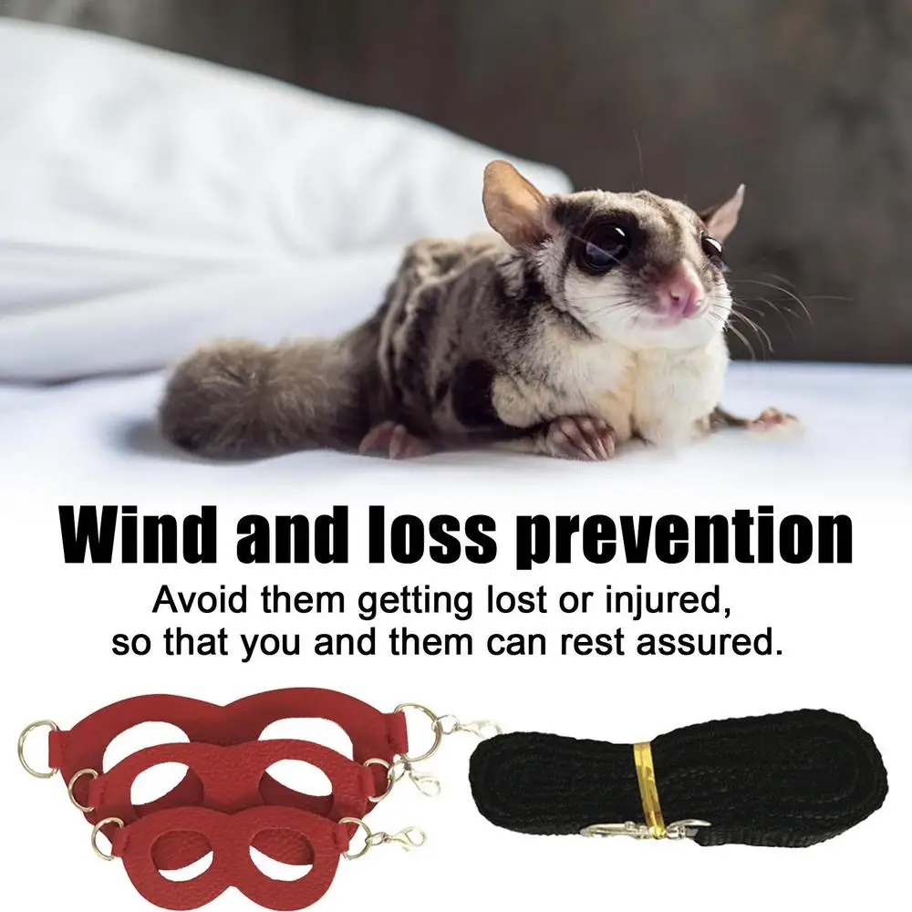 Sugar Gliders Vest Leash Hamster Leash 3 Pieces Comfort Harness Sugar Gliders Strap Adjustable Sugar Gliders Walking Leading