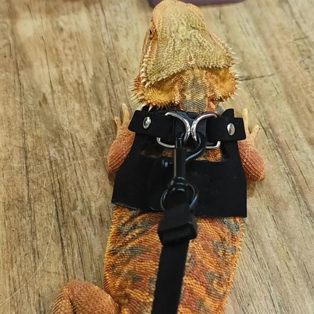 Bearded Dragon Harness Adjustable PU Leather Harness With Traction Rope Small Animal Training Walking Vest 3X Harnesses For