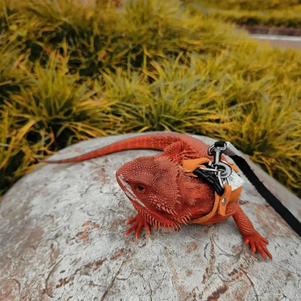 Bearded Dragon Harness Adjustable PU Leather Harness With Traction Rope Small Animal Training Walking Vest 3X Harnesses For