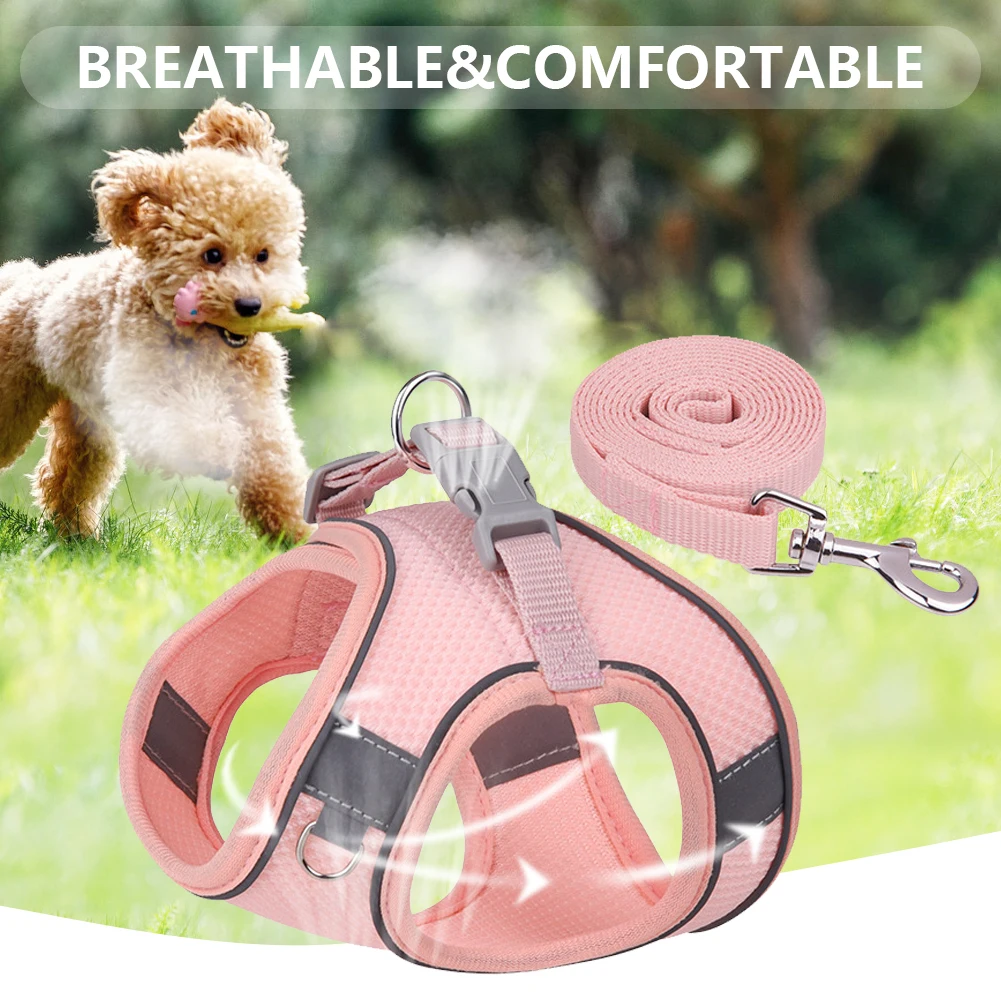 Puppy Harness&Leash Set Breathable Dog Harness with Matching Leash Adjustable Choke-Free for Small Medium Large Dogs