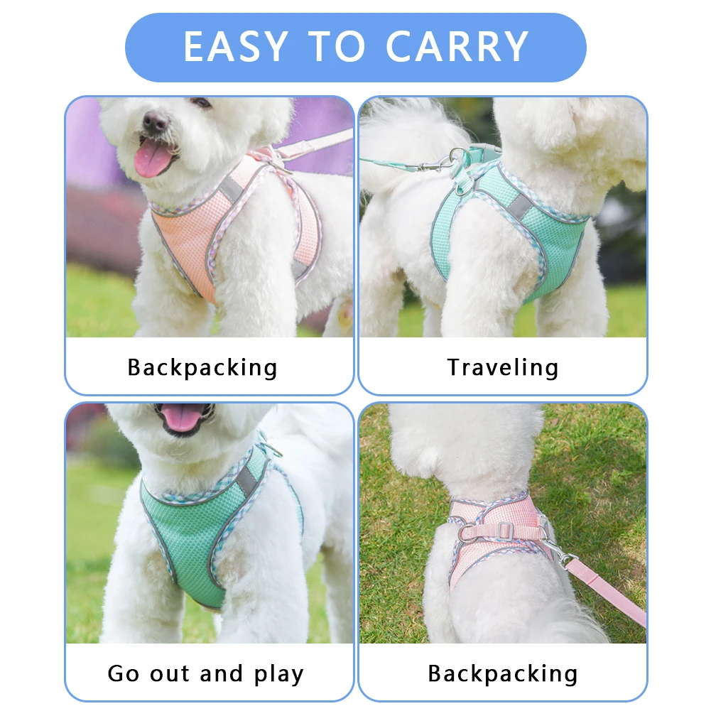 Puppy Harness&Leash Set Breathable Dog Harness with Matching Leash Adjustable Choke-Free for Small Medium Large Dogs