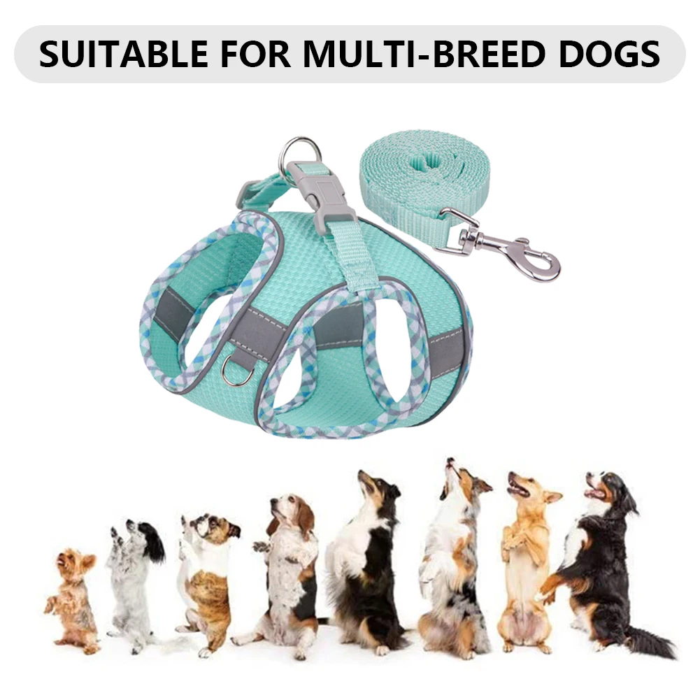 Puppy Harness&Leash Set Breathable Dog Harness with Matching Leash Adjustable Choke-Free for Small Medium Large Dogs