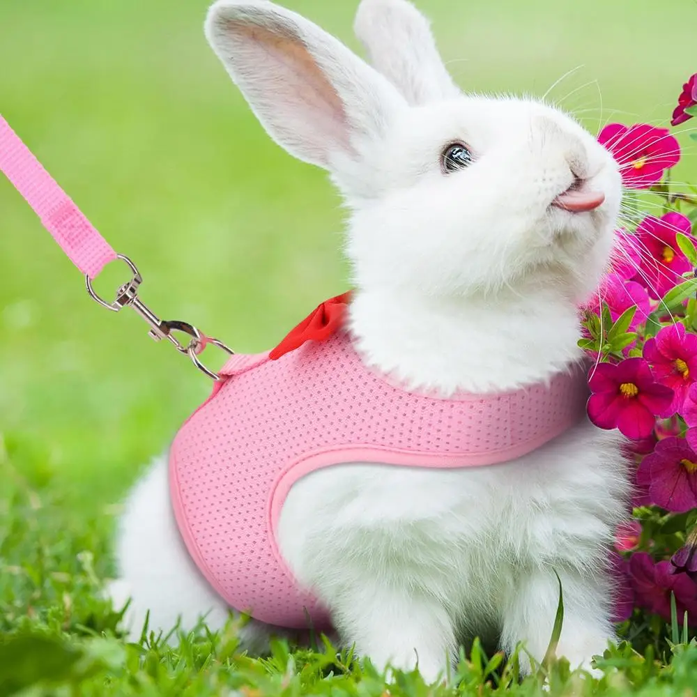 Bunny Harness And Leashes Portable Mesh Bunny Leashes For Rabbit Vest Harness And Leashes Escape Proof Lightweight Bunny Harness