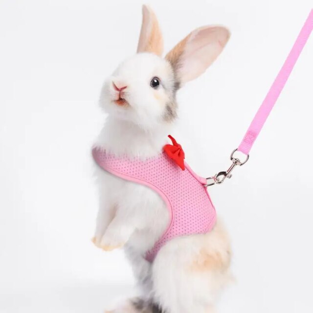 Rabbit Leashes Breathable Mesh Rabbit Outfit For Bunny Vest Harness And Leashes Escape Proof Lightweight Bunny Harness Set For - Image 3