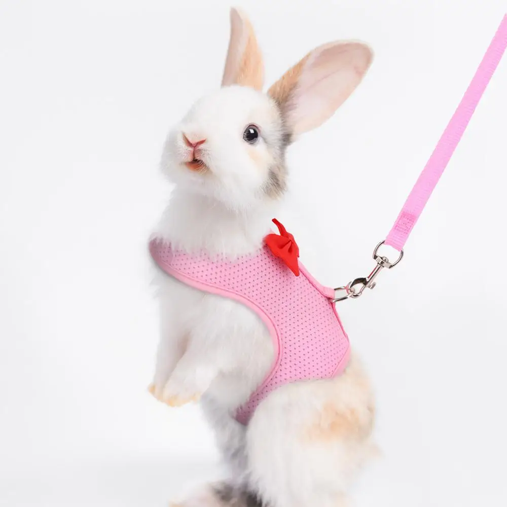 Rabbit Leashes Breathable Mesh Rabbit Outfit For Bunny Vest Harness And Leashes Escape Proof Lightweight Bunny Harness Set For