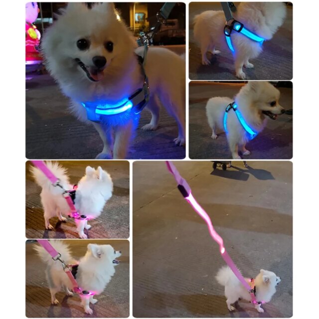 Stylish LED Electronic Pet Harness - Fashionable Glowing Vest and Flashing Light Pet Leash - Durable Nylon Dog Accessories - Inn - Image 6