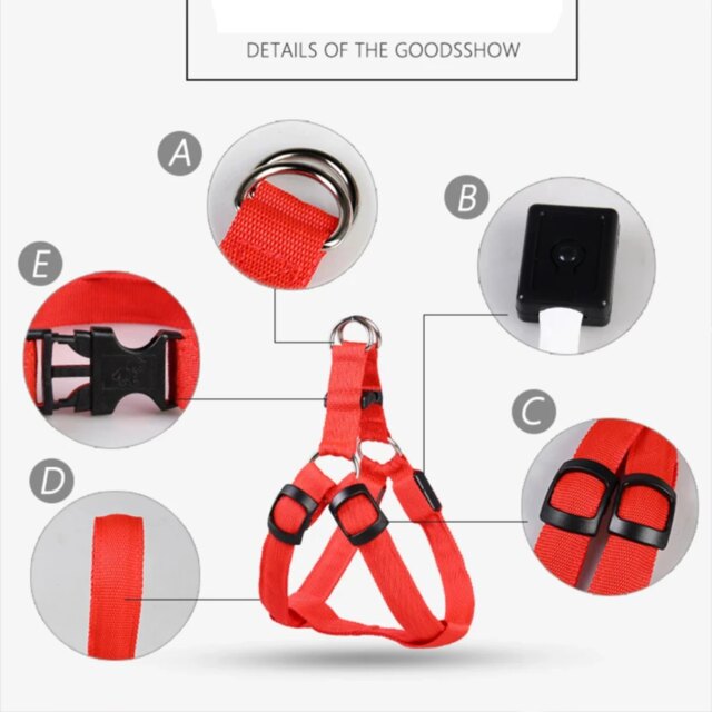 Stylish LED Electronic Pet Harness - Fashionable Glowing Vest and Flashing Light Pet Leash - Durable Nylon Dog Accessories - Inn - Image 4