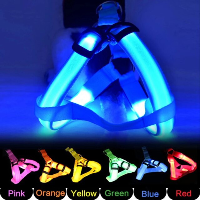 Stylish LED Electronic Pet Harness - Fashionable Glowing Vest and Flashing Light Pet Leash - Durable Nylon Dog Accessories - Inn