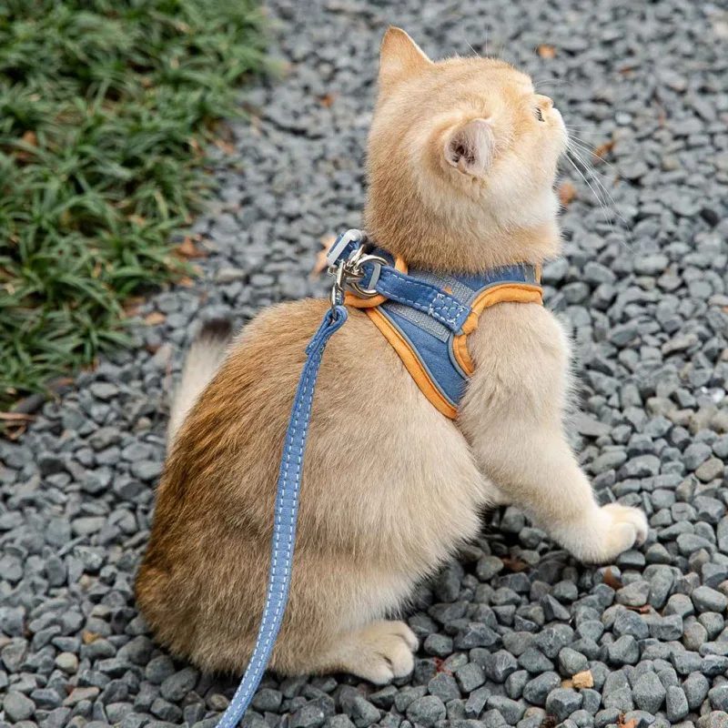 VIP Cat Harness Leash Set