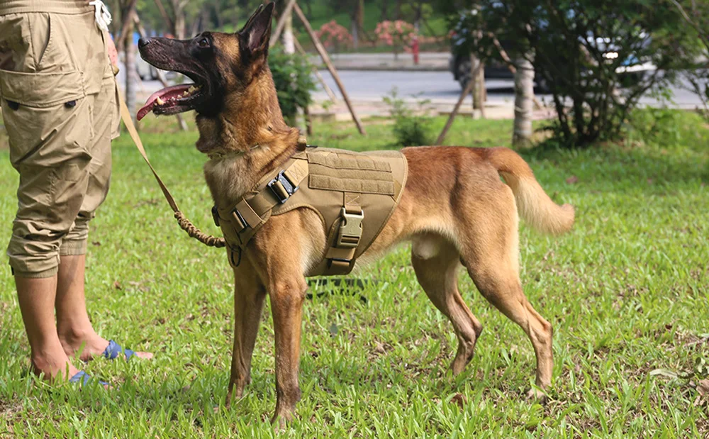 Large Dog Harness Collar Leash Set Military Dog K9 Harnesses Pet Tactical Vest Training German Shepherd For Medium Large Dogs