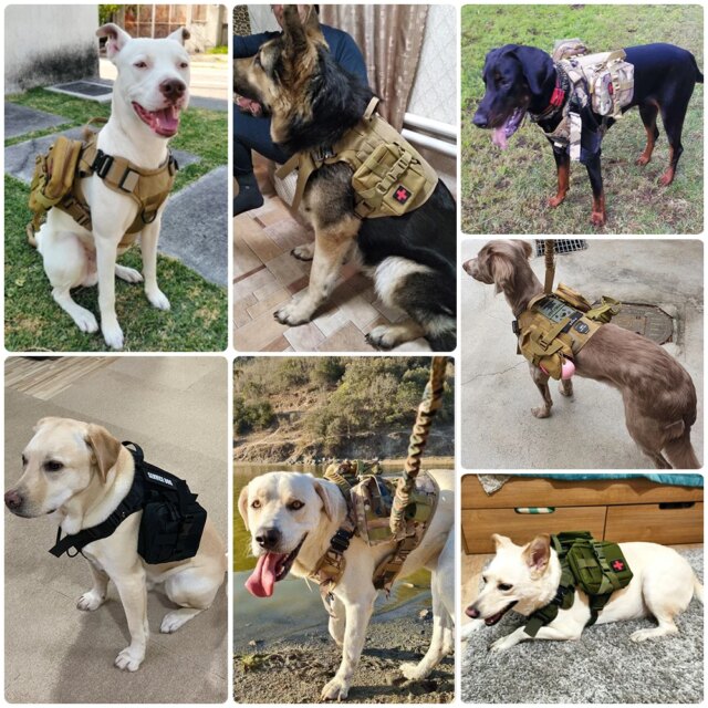 Large Dog Harness Collar Leash Set Military Dog K9 Harnesses Pet Tactical Vest Training German Shepherd For Medium Large Dogs - Image 6