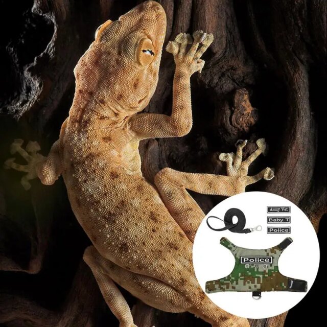 Reptiles Harness Escape Proof Adjustable Lizard Reptiles Harness Bearded Dragon Harness Leashes Adjustable Lizard Rope For - Image 2