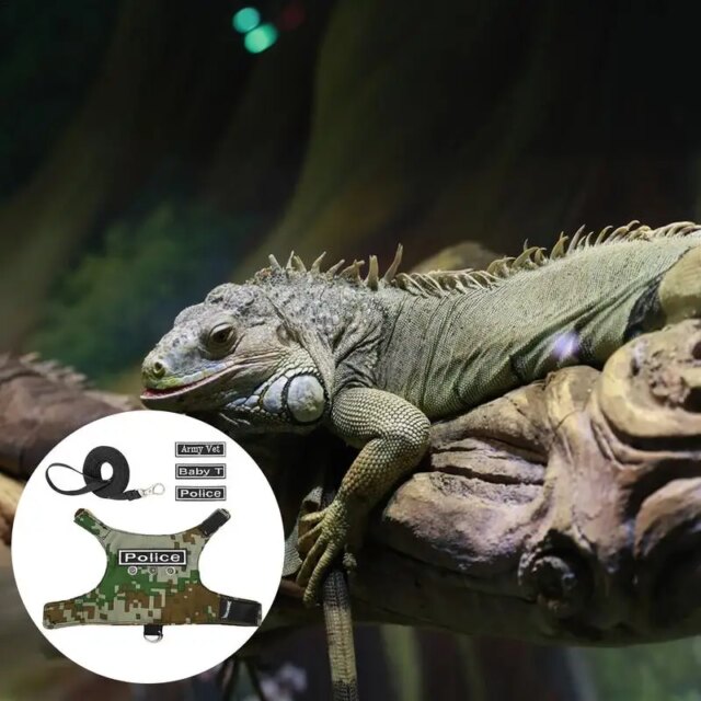 Reptiles Harness Escape Proof Adjustable Lizard Reptiles Harness Bearded Dragon Harness Leashes Adjustable Lizard Rope For - Image 3