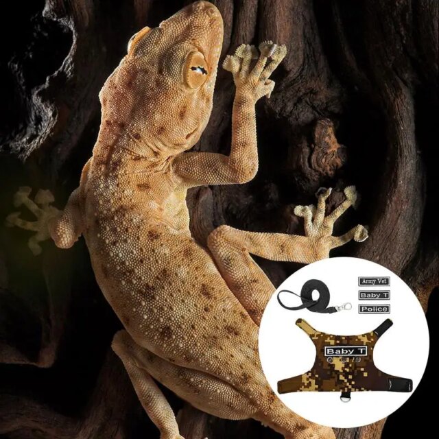 Reptiles Harness Escape Proof Adjustable Lizard Reptiles Harness Bearded Dragon Harness Leashes Adjustable Lizard Rope For - Image 4