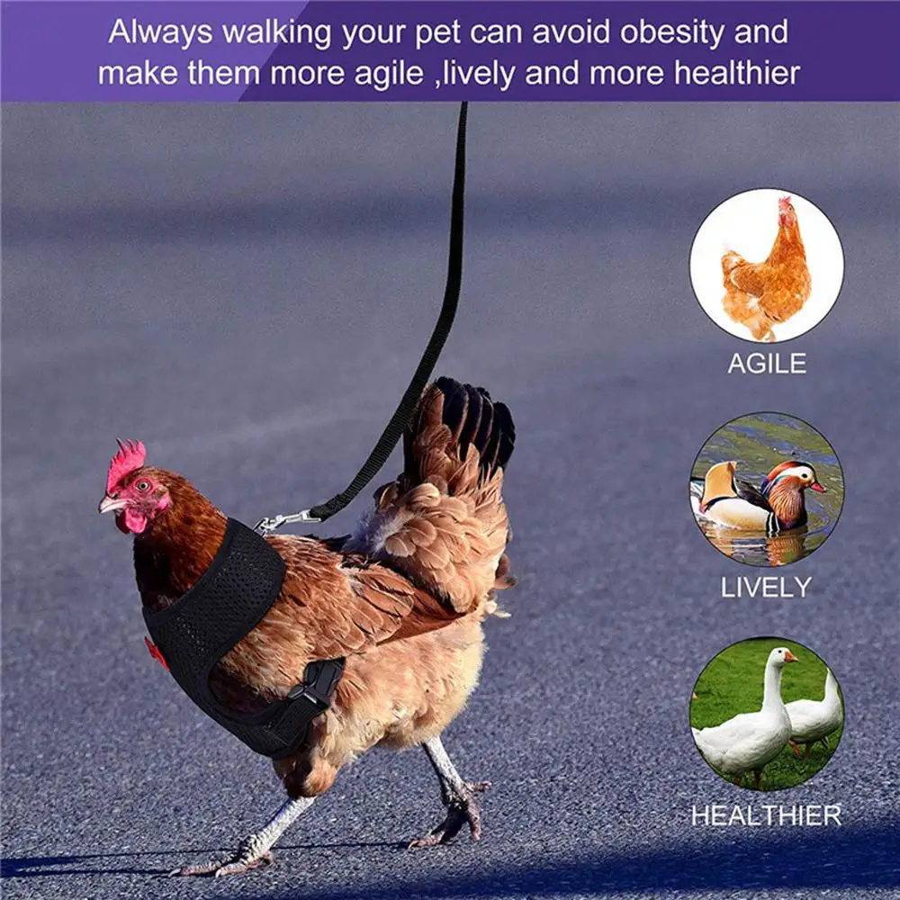 Pet Mesh Soft Harness With Leash Small Animal Vest Lead For Chicken Adjustable Rope With Leash And Matching Belt Hen Pet Vest