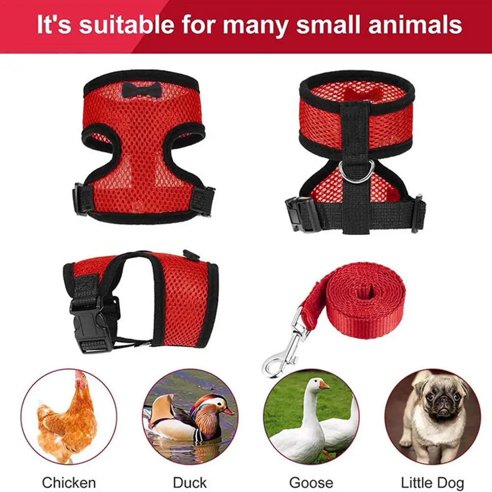 Pet Mesh Soft Harness With Leash Small Animal Vest Lead For Chicken Adjustable Rope With Leash And Matching Belt Hen Pet Vest