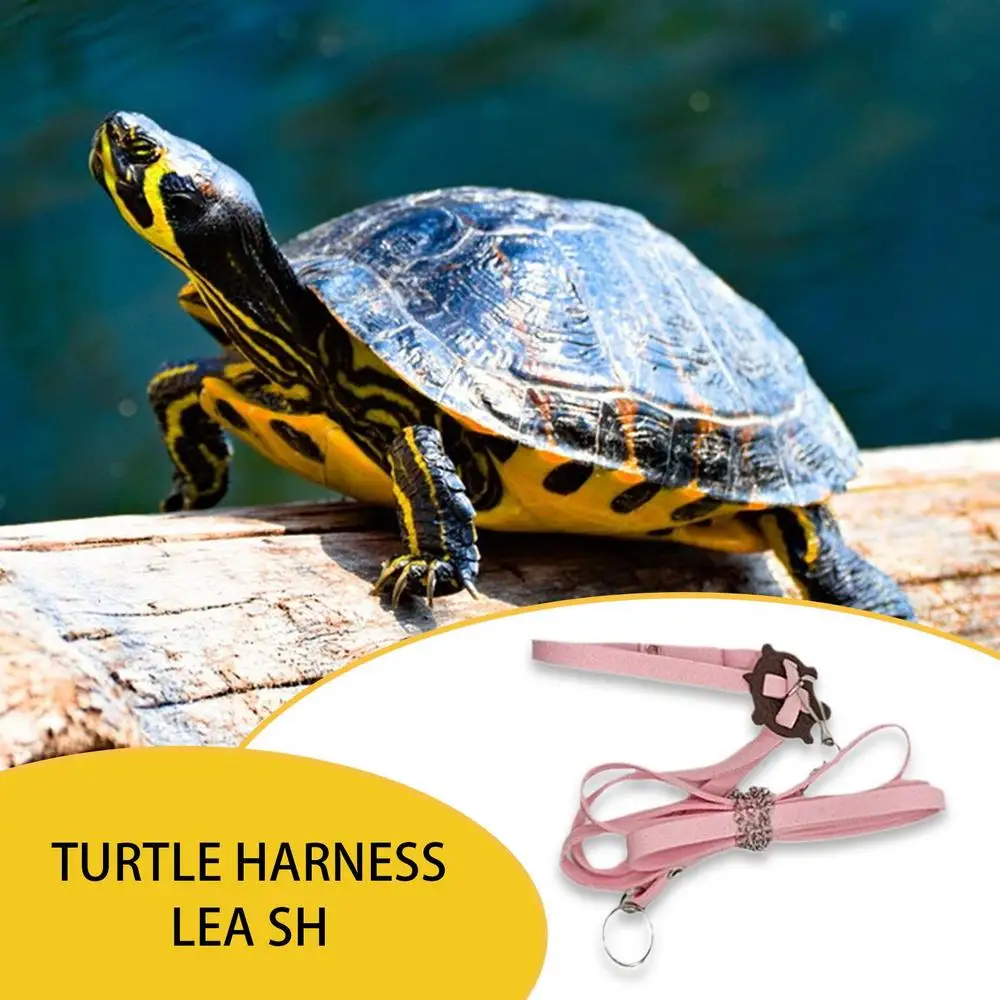 Turtle Harness Leashes PU Leather Adjustable Outdoor Control Rope Soft Chest Collar Multi-Color Walking Lead Harness Strap for