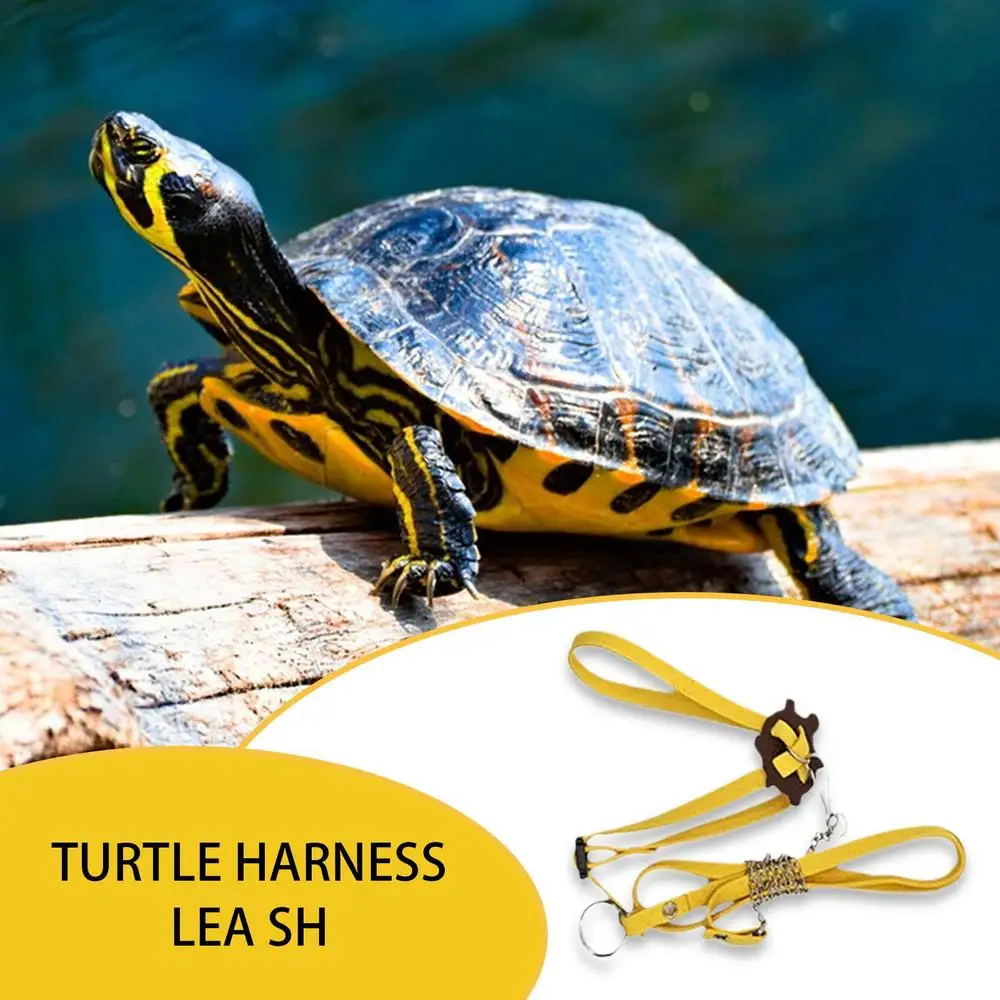 Chest Collar Leashes For Turtle Outdoor Harness Leashes PU Leather Control Rope Soft Chest Collar Multi-Color Walking Lead