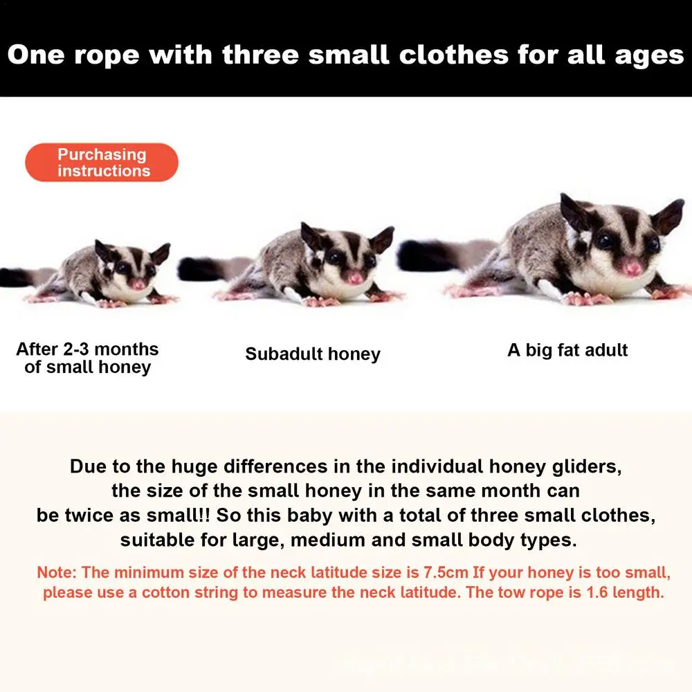 Sugar Glider Training Rope Guinea Pig Walking Rope Sugar Glider Harness And Rope Set Pet Traction Rope For Squirrel, Hamster