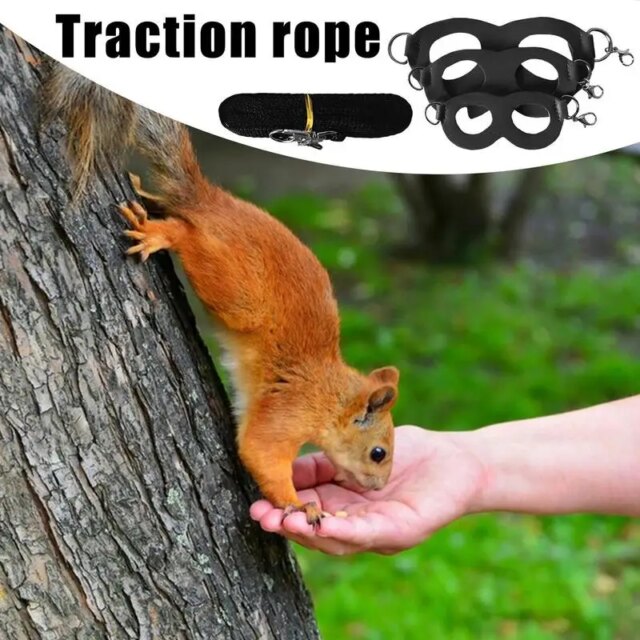 Sugar Glider Training Rope Guinea Pig Walking Rope Sugar Glider Harness And Rope Set Pet Traction Rope For Squirrel, Hamster - Image 3