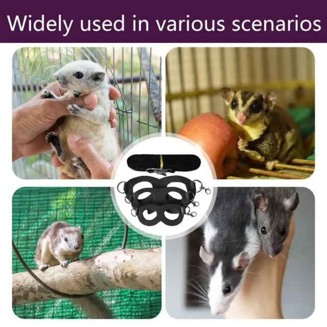 Sugar Glider Training Rope Guinea Pig Walking Rope Sugar Glider Harness And Rope Set Pet Traction Rope For Squirrel, Hamster - Image 5