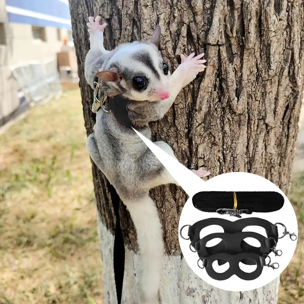 Sugar Glider Training Rope Guinea Pig Walking Rope Sugar Glider Harness And Rope Set Pet Traction Rope For Squirrel, Hamster