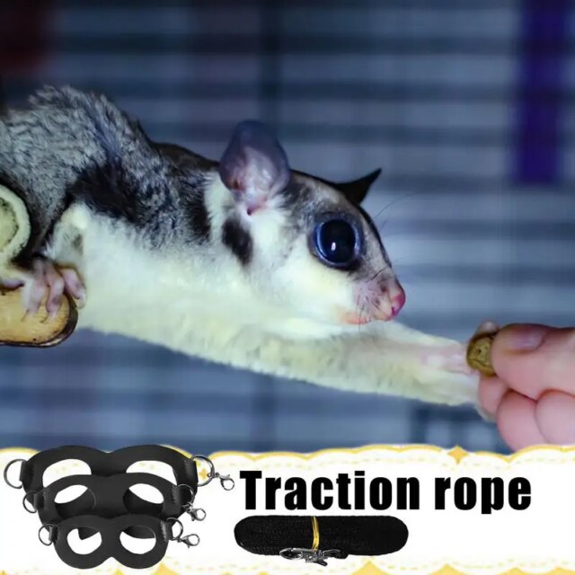 Sugar Glider Training Rope Guinea Pig Walking Rope Sugar Glider Harness And Rope Set Pet Traction Rope For Squirrel, Hamster - Image 4