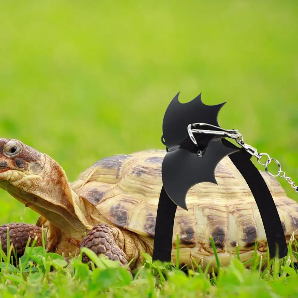 Small Turtle Leash Traction Rope Small Pet Harness Tortoise Traction Rope Bearded Dragon Leash Small Vest Style With Wing