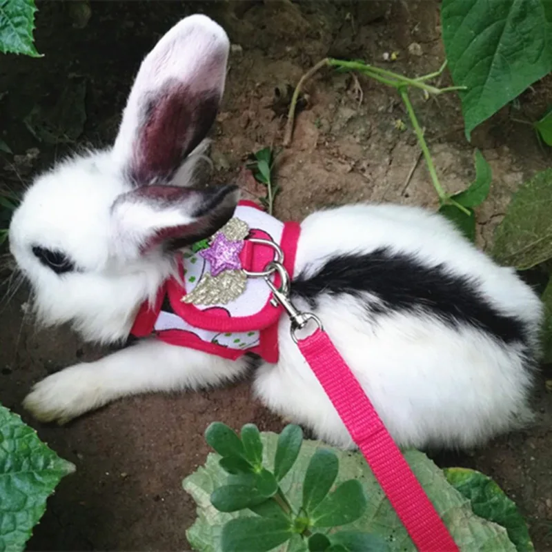 Adjustable Soft Harness with Leash for Rabbit Breathable Mesh Vest for Kitten Small Pets Holland Lop Bunny Walking Escape Proof