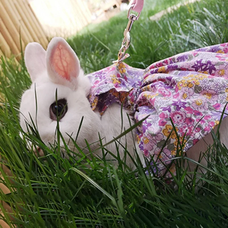 Cute Bunny Dress Pet Vest Accessories Outdoor Leash Rabbit Floral Harness Leash Set Clothes Harness For Rabbit Ferret Piggies