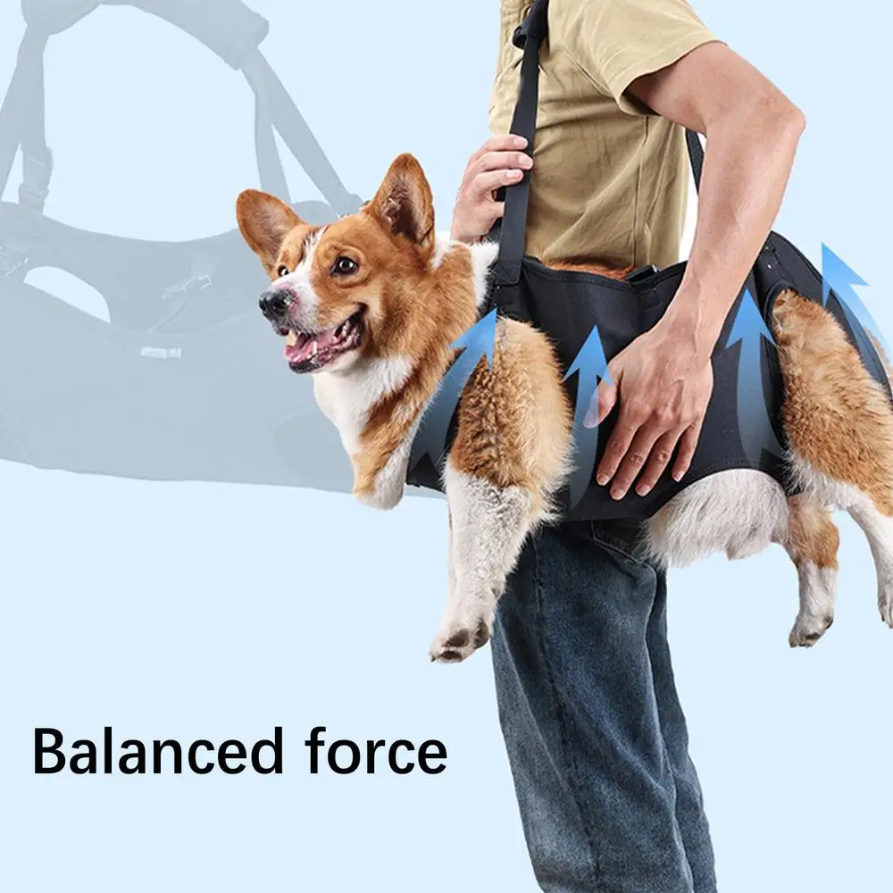 Pet Rehabilitation Sling Pet Rehabilitation Lift Vest Thicken Handle Pet Support Harness Adjustable Strap For Senior Dogs