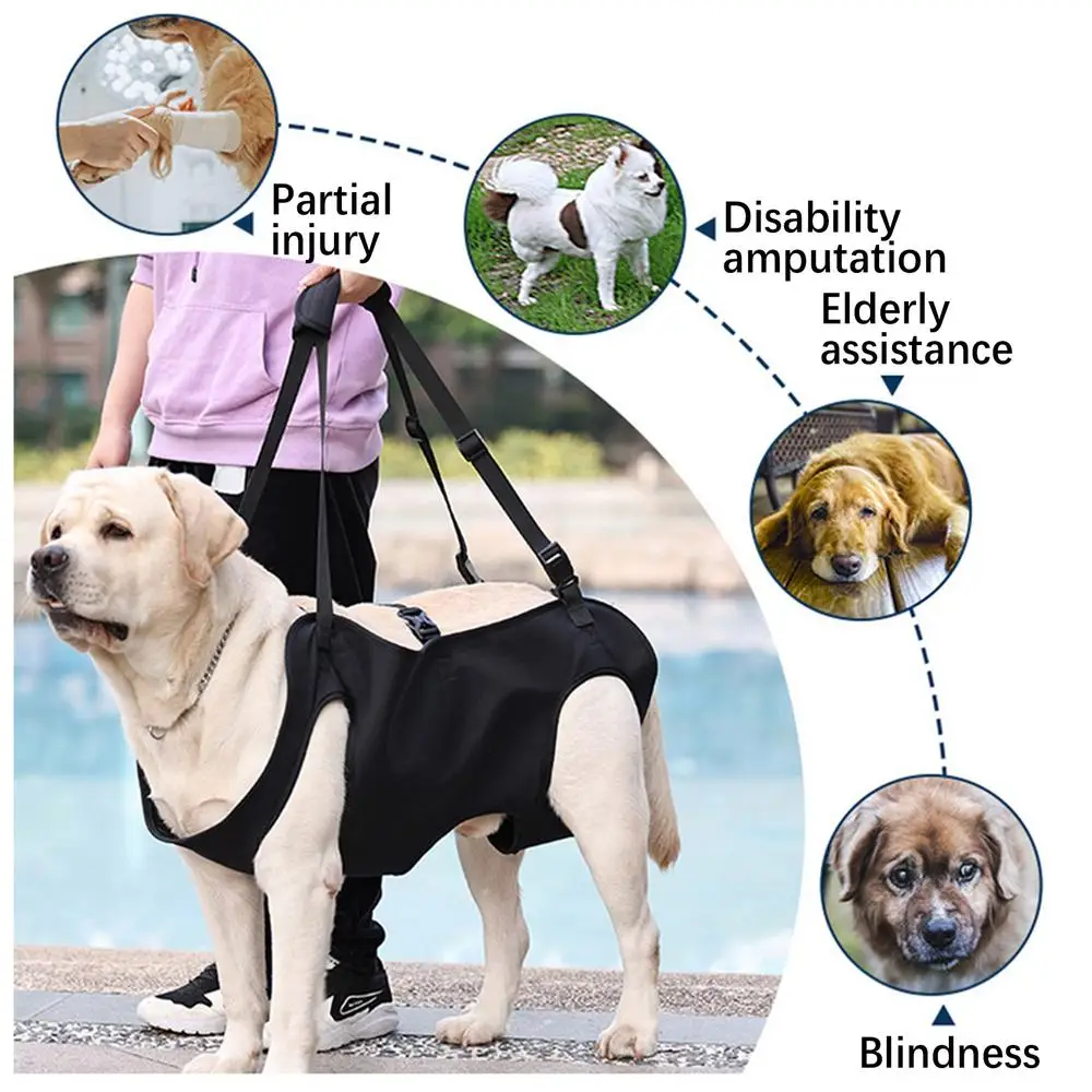 Pet Rehabilitation Sling Pet Rehabilitation Lift Vest Thicken Handle Pet Support Harness Adjustable Strap For Senior Dogs