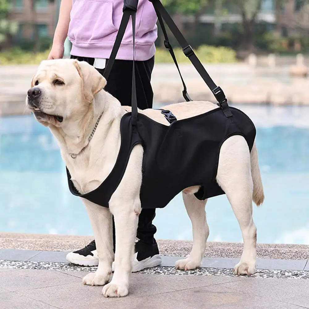 Pet Rehabilitation Sling Pet Rehabilitation Lift Vest Thicken Handle Pet Support Harness Adjustable Strap For Senior Dogs