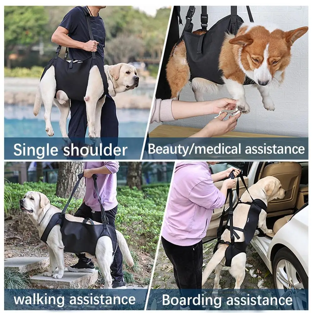 Pet Rehabilitation Sling Pet Rehabilitation Lift Vest Thicken Handle Pet Support Harness Adjustable Strap For Senior Dogs