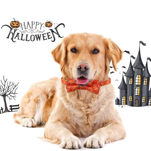 Halloween Cat Dog Collar Adjustable Safety Pet Pumpkin Printed Collar With Cute Breakaway Bow Tie And Bell For Kitten Puppy - Image 4