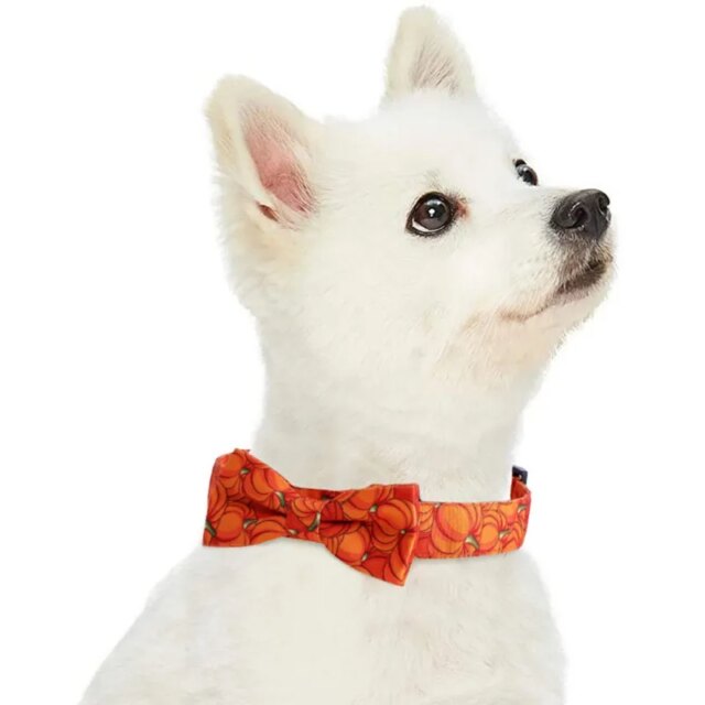 Halloween Cat Dog Collar Adjustable Safety Pet Pumpkin Printed Collar With Cute Breakaway Bow Tie And Bell For Kitten Puppy - Image 5