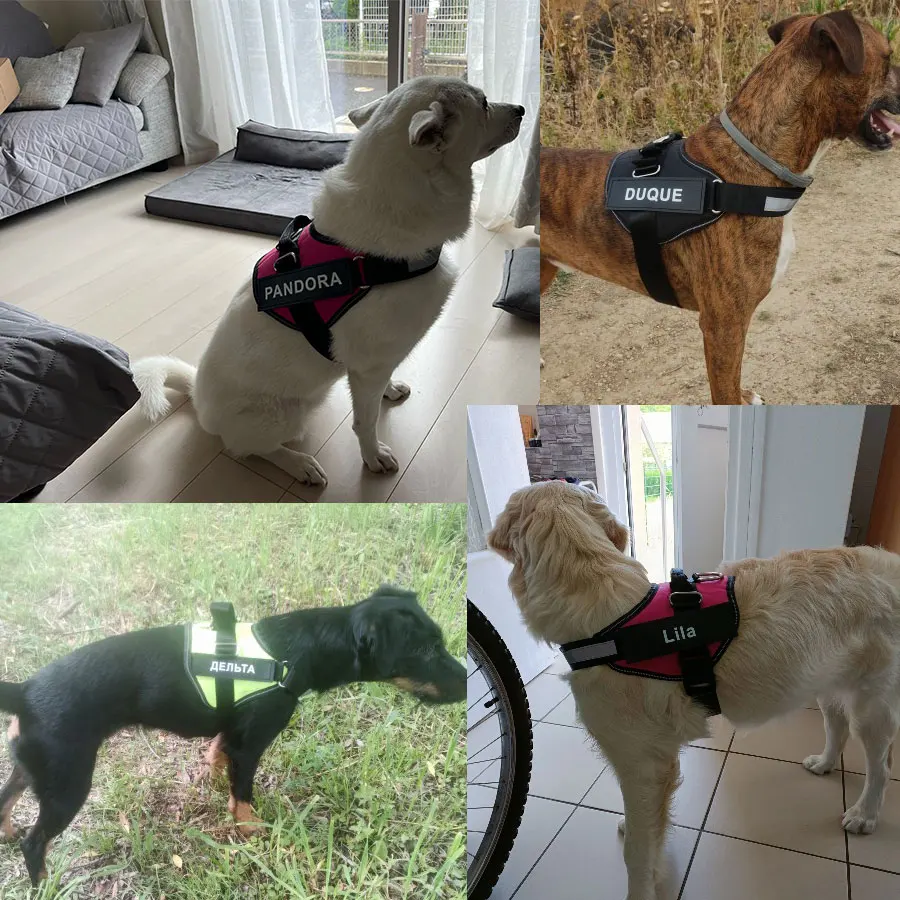 Reflective Breathable Adjustable Dog Harness Vest ID Patch Customized Pet Harness For Dog Pet Outdoor Harness