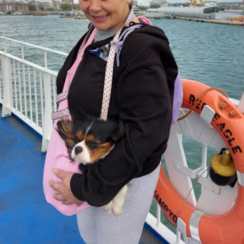 Adjustable Pet Dog Carrier Bag Outdoor Travel Puppy Single Shoulder Bags Dogs Comfort Sling Handbag Corgi Puppy Tote Pouch