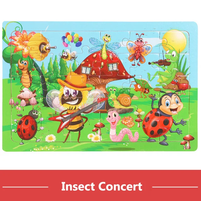 Insect Concert