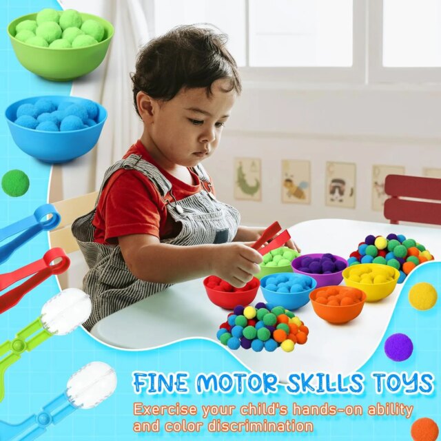 3 year Old  Children's Rainbow Counting Pompoms Toys Sorting Cup Montessori Sensory Toys Preschool Learning Activities Math Toys - Image 3