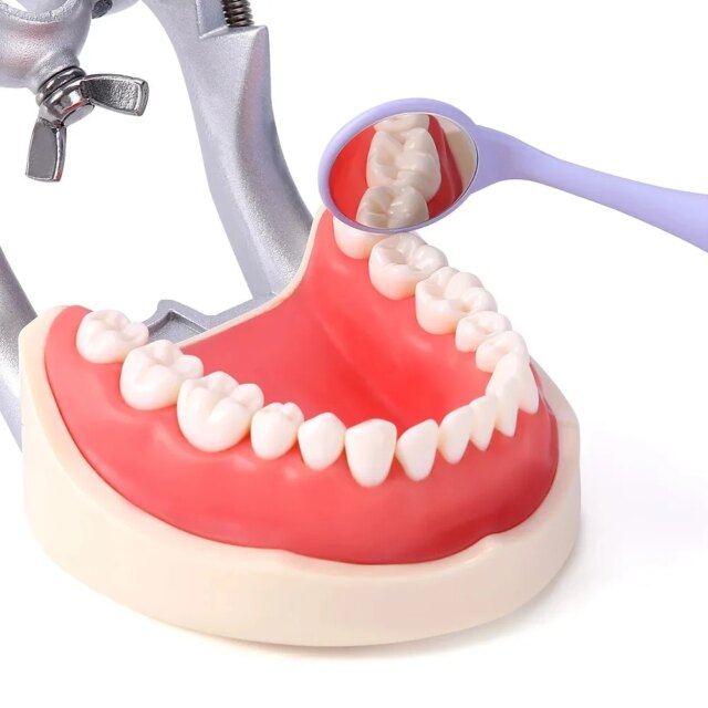 10pcs/Box Dental Mouth Mirror Oral Double Sides Surface Exam Mirrors Reflector Plastic Handle Odontoscope Oral Tooth Whitening - Image 2